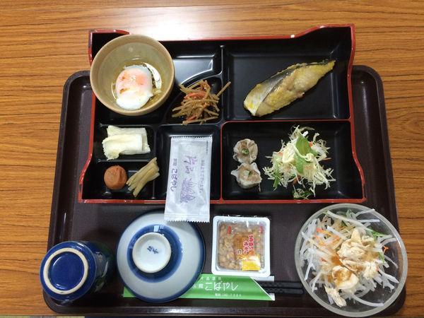 Ryokan Kobayashi Katashina Ngoại thất bức ảnh